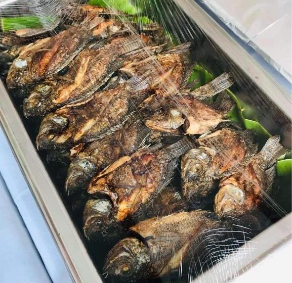 Endless Summer Hotel Baler