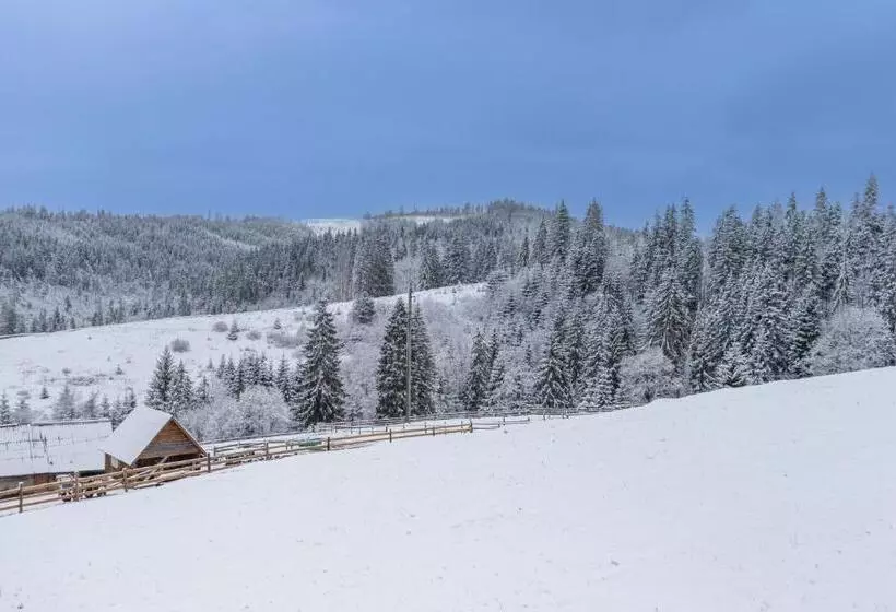 Hotelli шепіт лісу