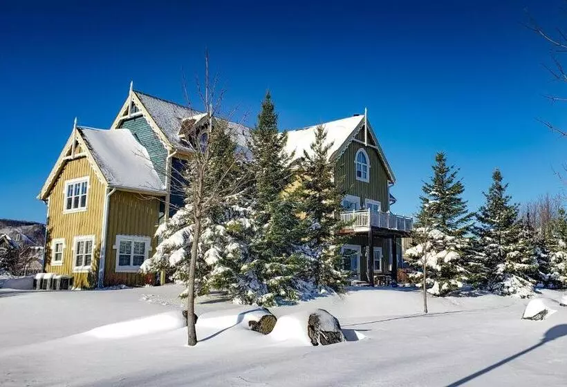 ホテル Condo 24 At Snowbridge