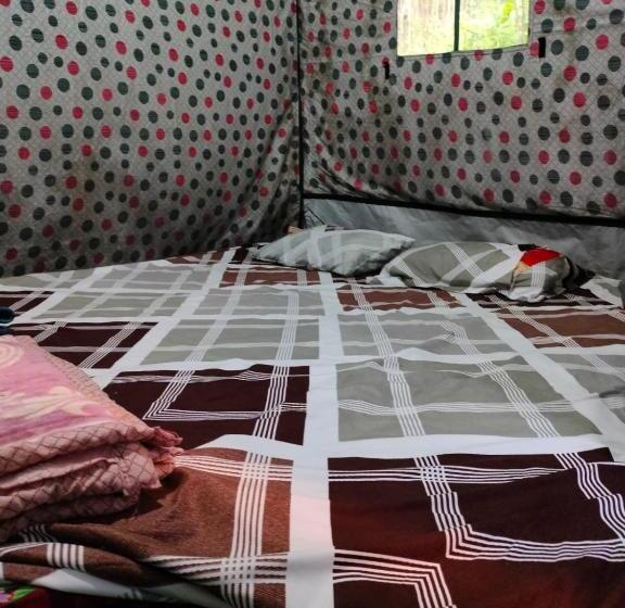 酒店 Kasol Jungle Retreat