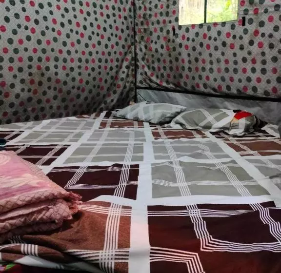ホテル Kasol Jungle Retreat