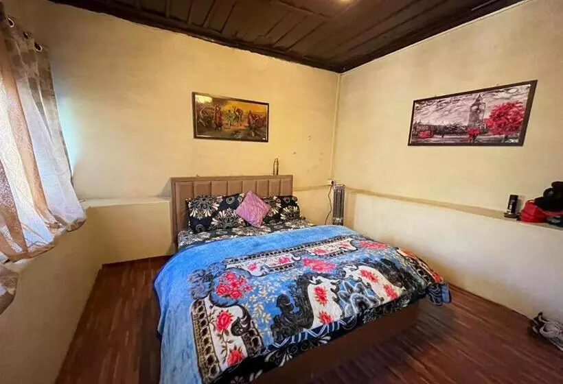 ホテル Kasol Jungle Retreat