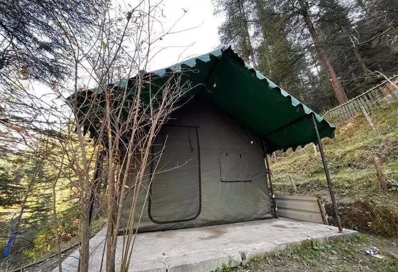 ホテル Kasol Jungle Retreat