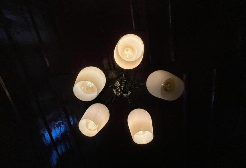 酒店 Kasol Jungle Retreat