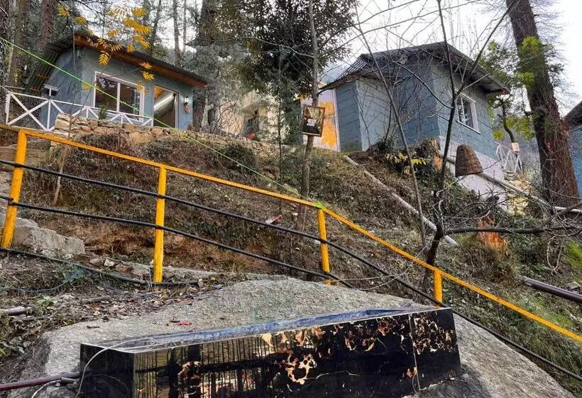 ホテル Kasol Jungle Retreat