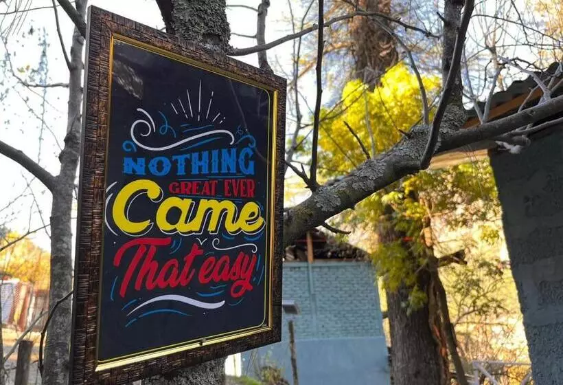 ホテル Kasol Jungle Retreat