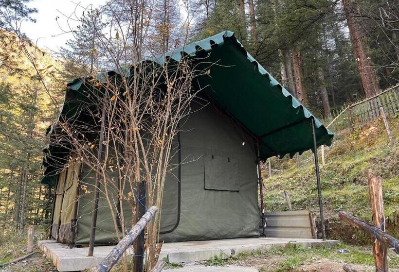 酒店 Kasol Jungle Retreat