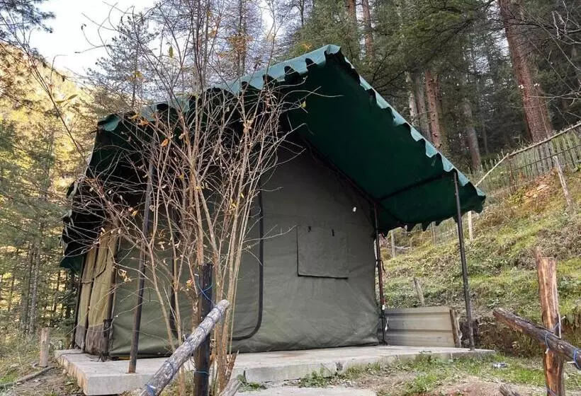 ホテル Kasol Jungle Retreat