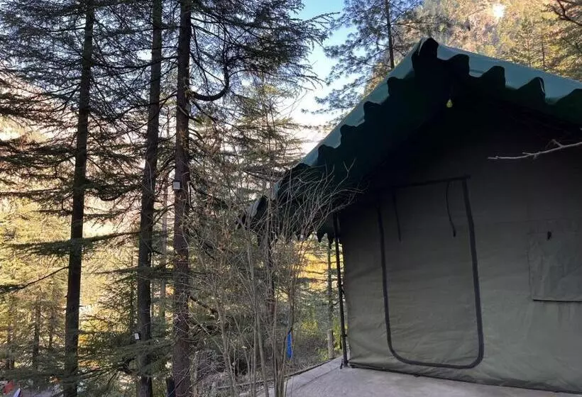 ホテル Kasol Jungle Retreat