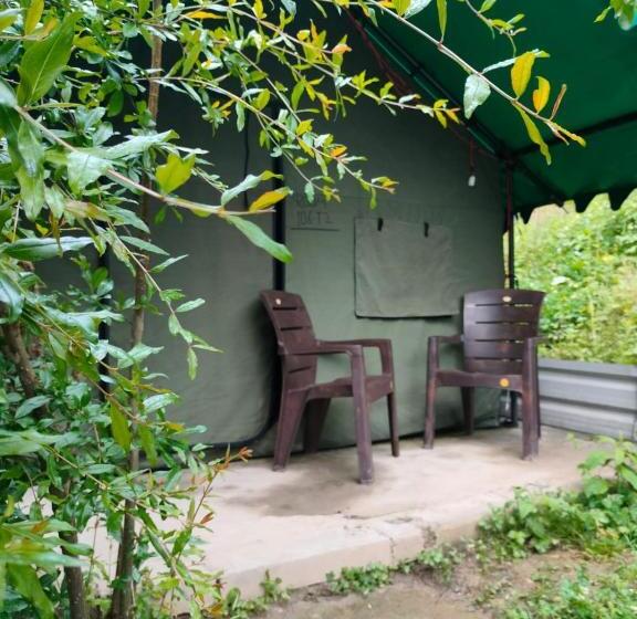 酒店 Kasol Jungle Retreat