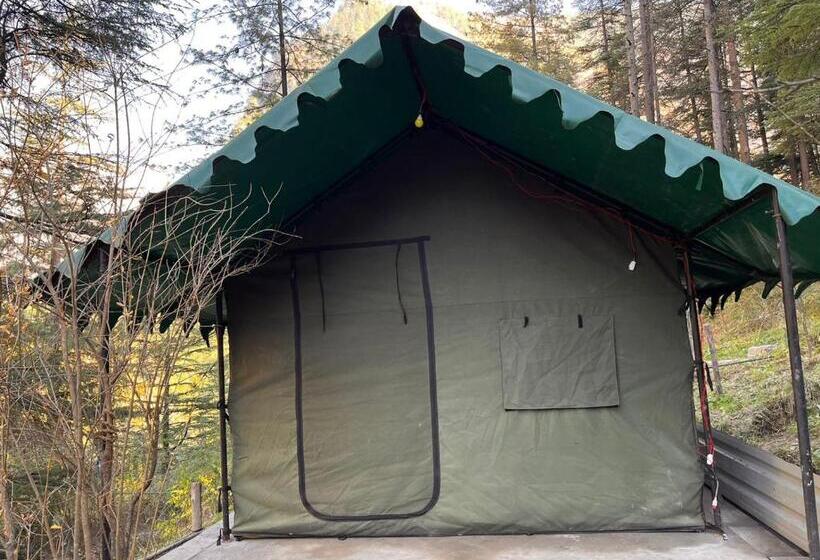 酒店 Kasol Jungle Retreat