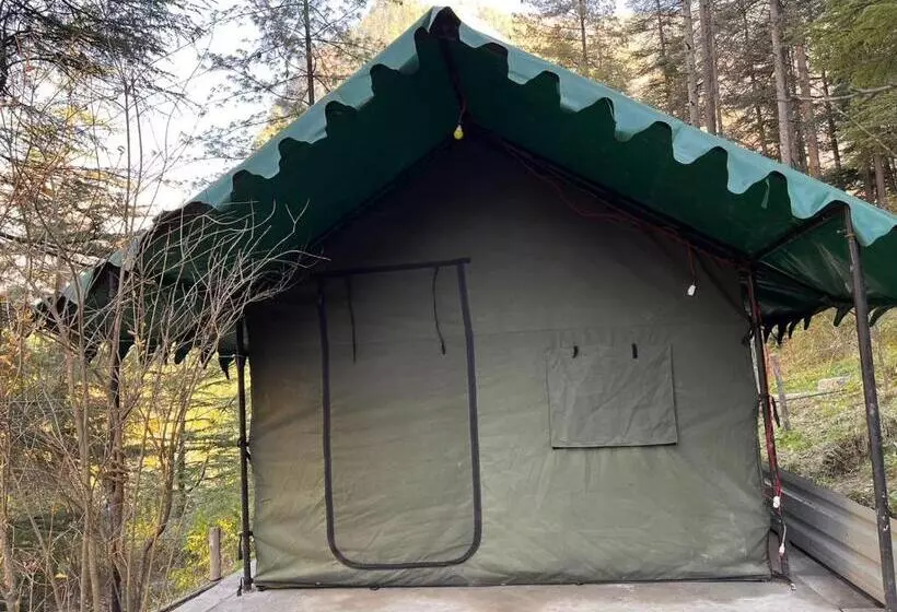 ホテル Kasol Jungle Retreat