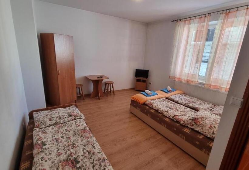 פנסיון Willa U Skrajnioka