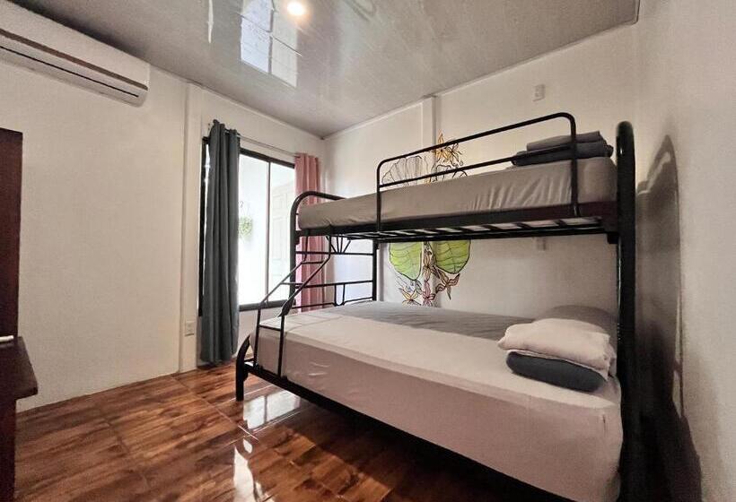 La Tribu Boutique Hostel For Women