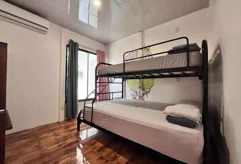 La Tribu Boutique Hostel For Women