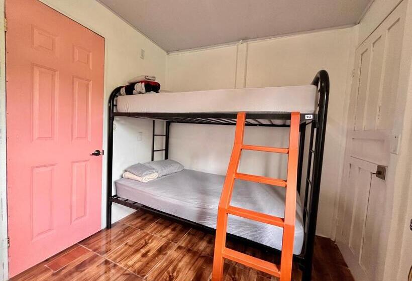 La Tribu Boutique Hostel For Women