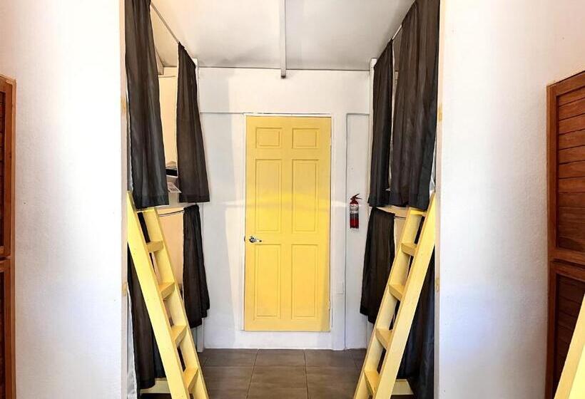 La Tribu Boutique Hostel For Women