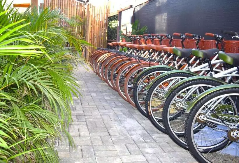 La Tribu Boutique Hostel For Women