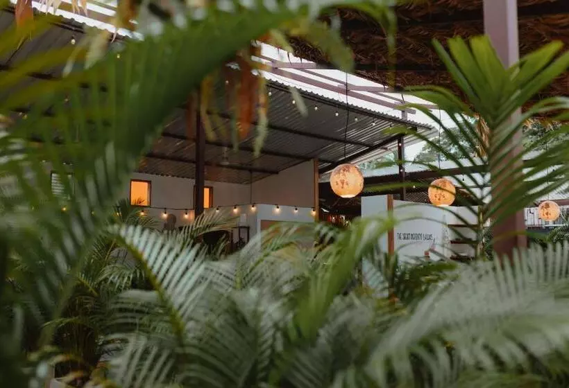 La Tribu Boutique Hostel For Women