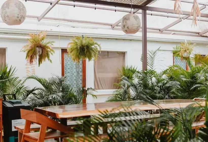 La Tribu Boutique Hostel For Women