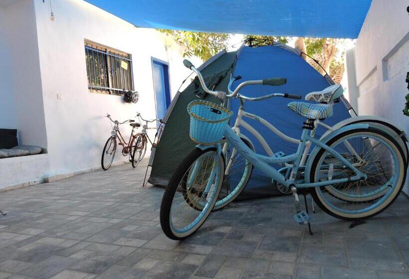 هاستل Mango Haus