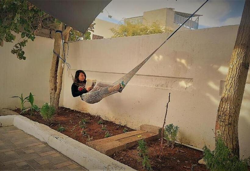 هاستل Mango Haus