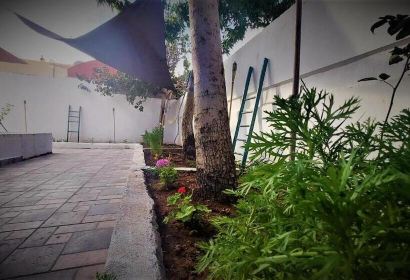 هاستل Mango Haus