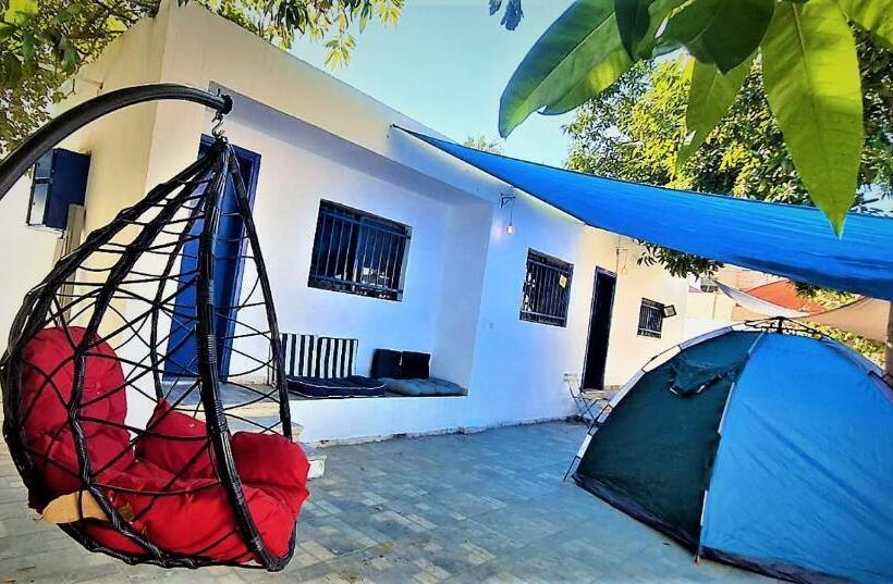 هاستل Mango Haus