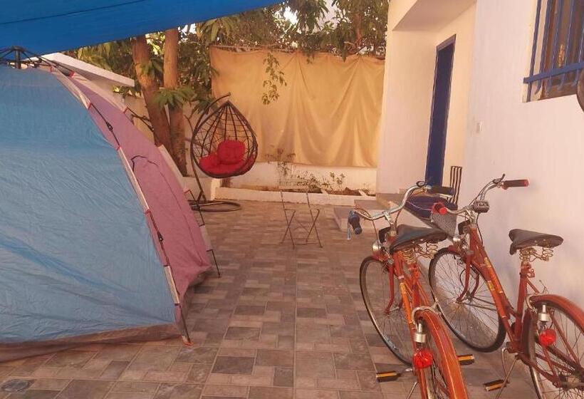 هاستل Mango Haus