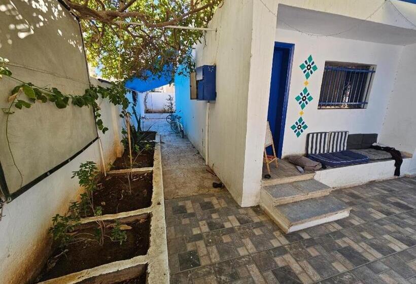 هاستل Mango Haus