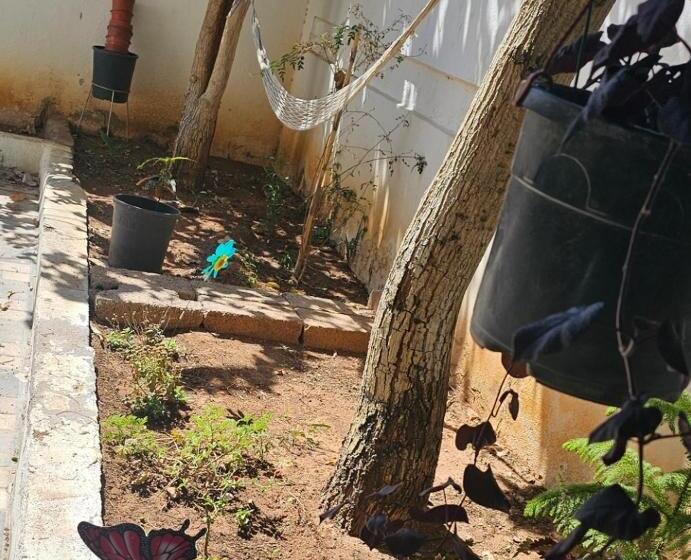 هاستل Mango Haus