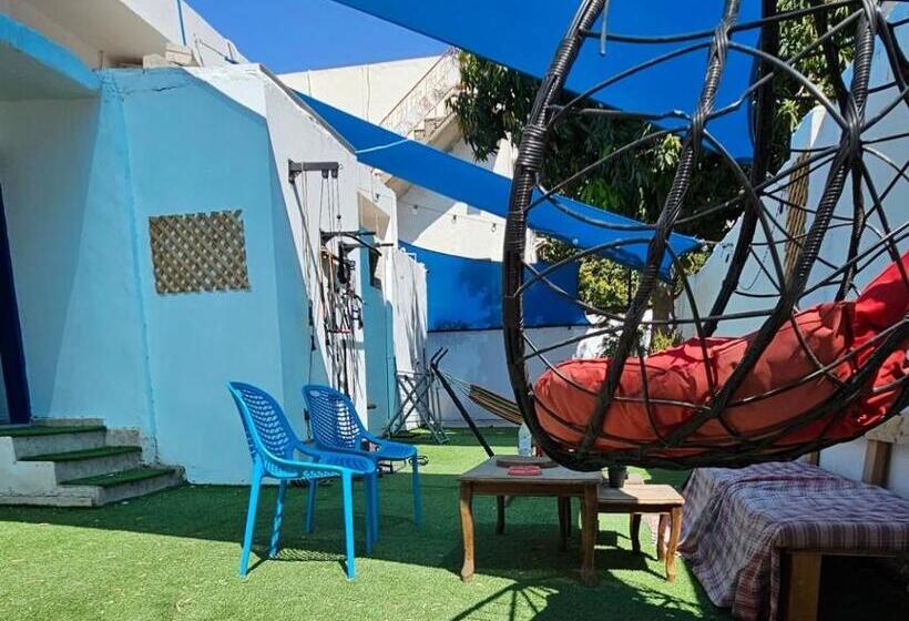 هاستل Mango Haus