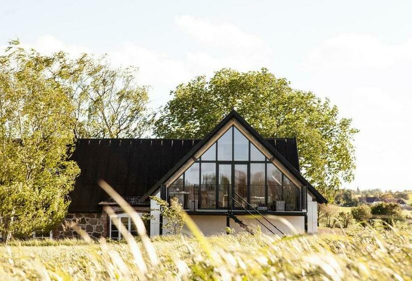 Bed and Breakfast Typeo Loft