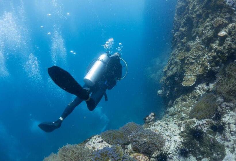 هتل Diver S House