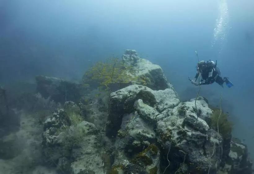 ホテル Diver S House