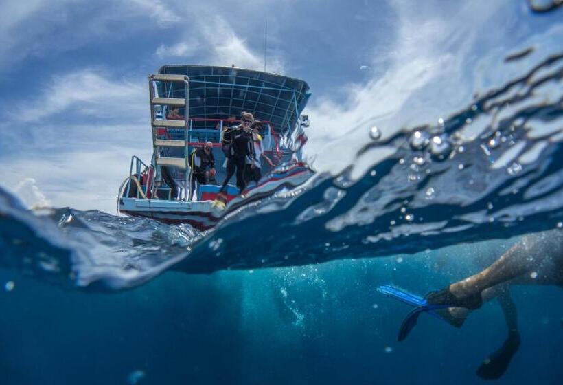 هتل Diver S House