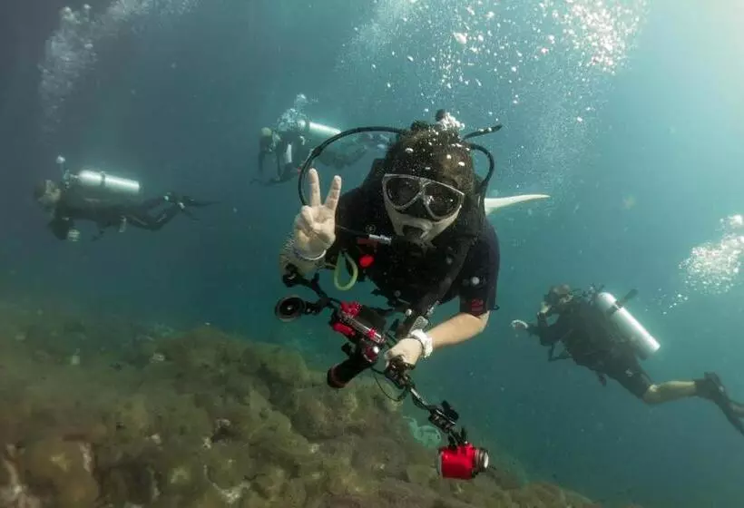 ホテル Diver S House