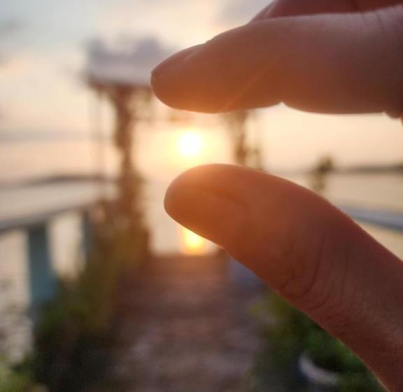 膳宿费 Bella Louise House