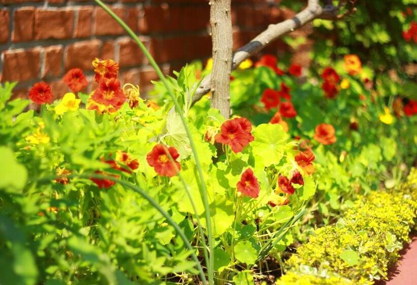 پانسیون L  Oasis De Verdure