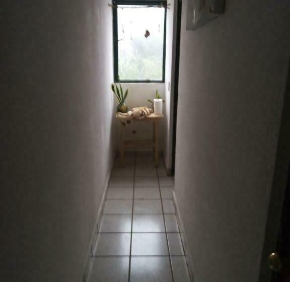 فندق صغير Hoskal Xilitla, Departamento 2 Habitaciones