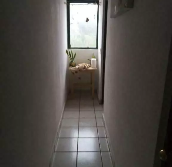 ユースホステル Hoskal Xilitla, Departamento 2 Habitaciones