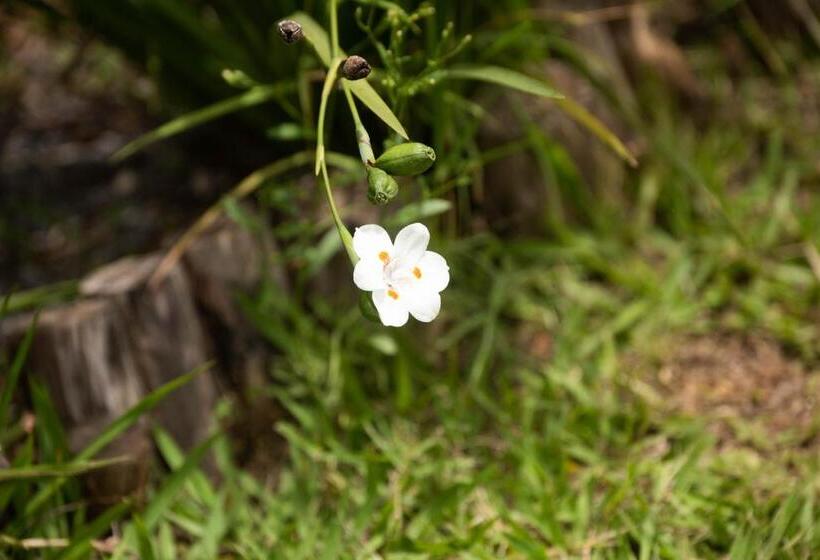 هاستل Pousada Sertão