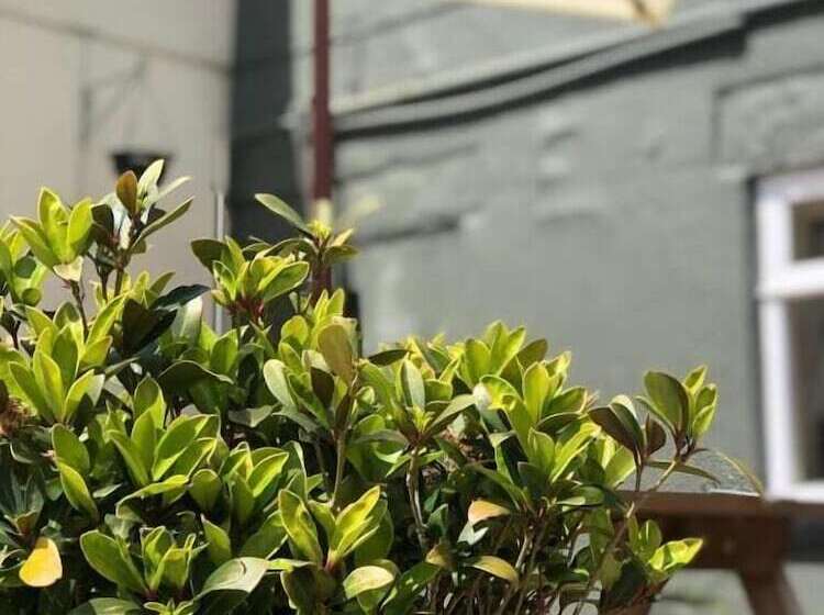 הוסטל The Norfolk Arms, Chapeltown