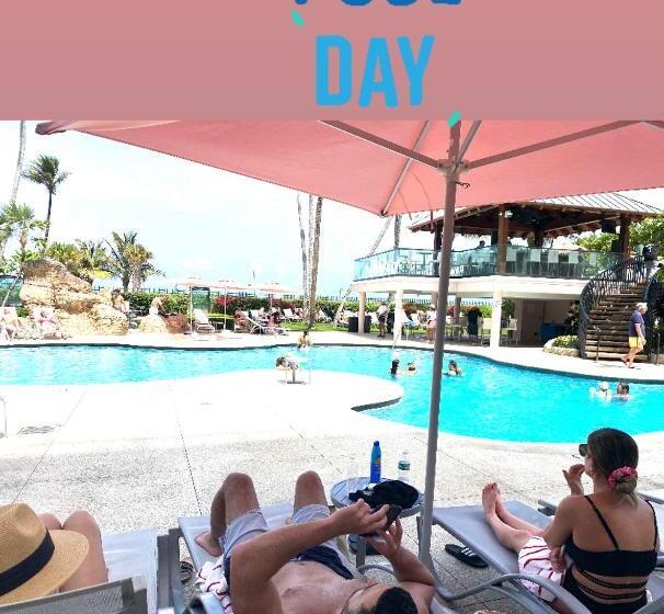 Luxurious Oceanview Apartment   On The Beach   Stay 08 People