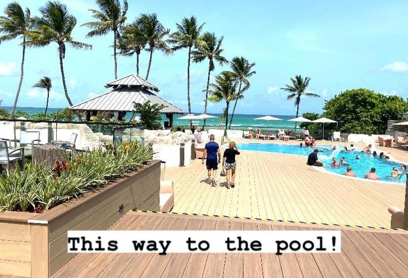 Luxurious Oceanview Apartment   On The Beach   Stay 08 People