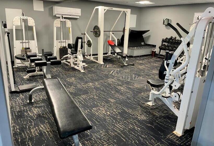 Luxurious Oceanview Apartment   On The Beach   Stay 08 People