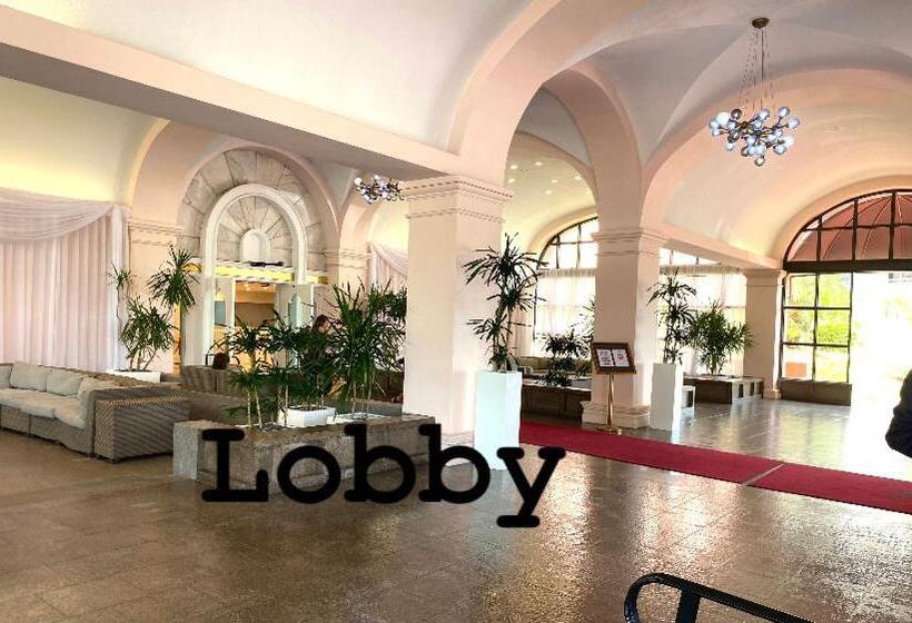 Luxurious Oceanview Apartment   On The Beach   Stay 08 People