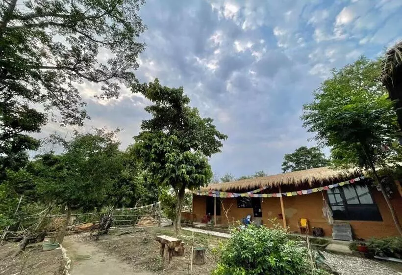پانسیون Bamby Chilling House   Feel The Nature