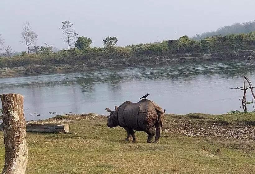 پانسیون Bamby Chilling House   Feel The Nature