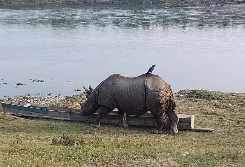 پانسیون Bamby Chilling House   Feel The Nature